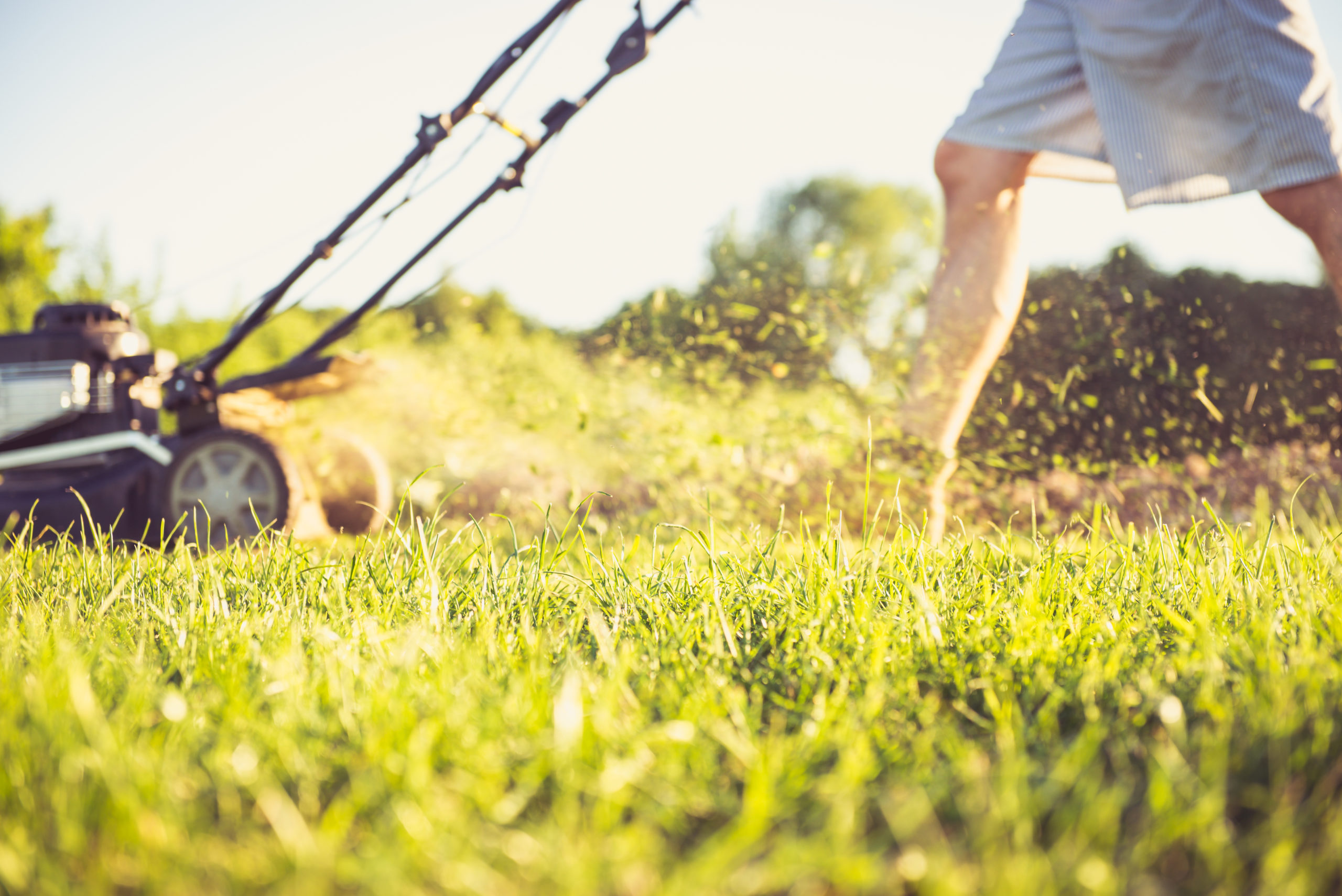 Young man mowing the grass, Girl Friday Berks housekeeping cleaning services