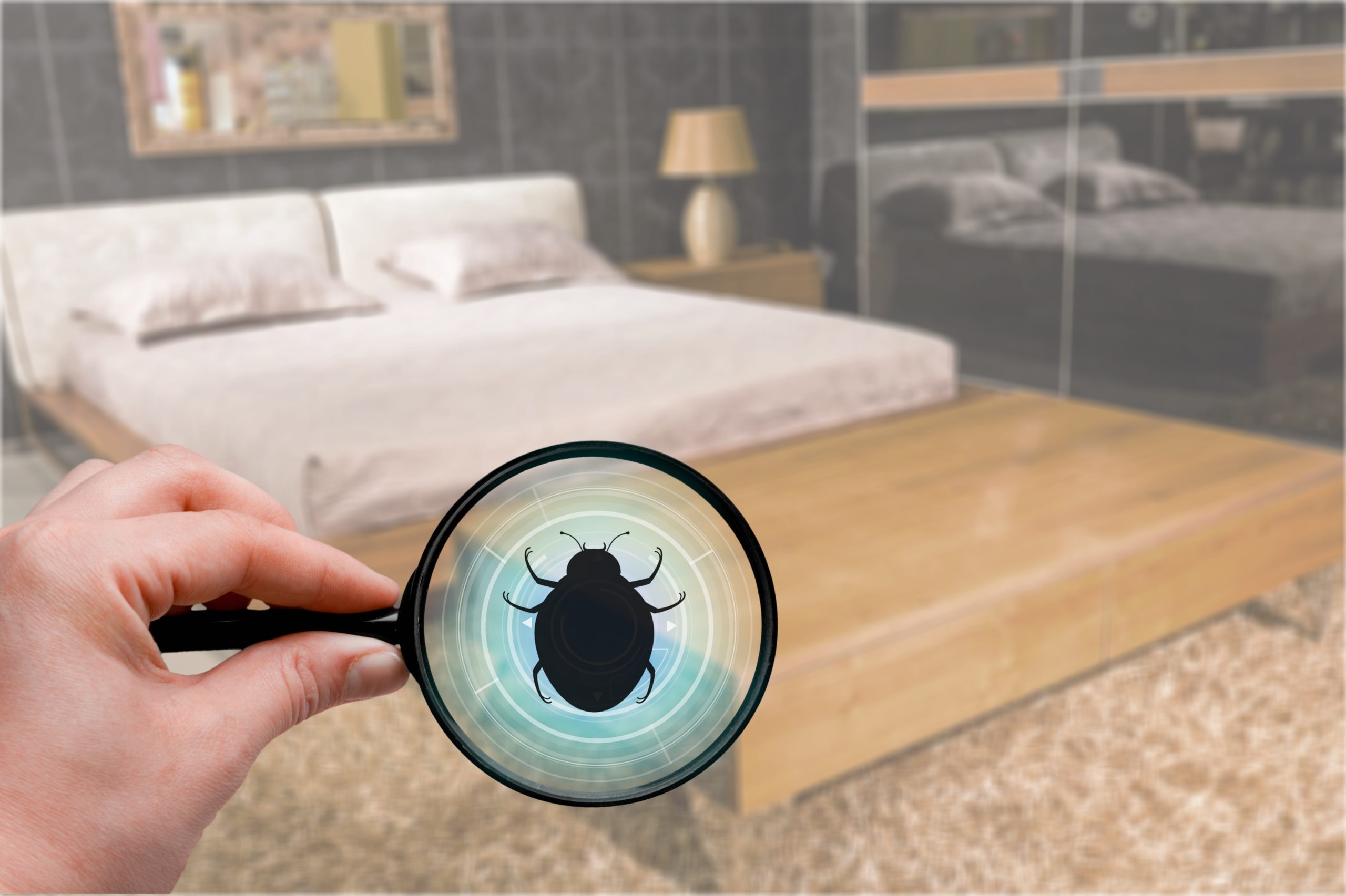 allergy, dust, mites, Girl Friday Berks housekeeping cleaning services