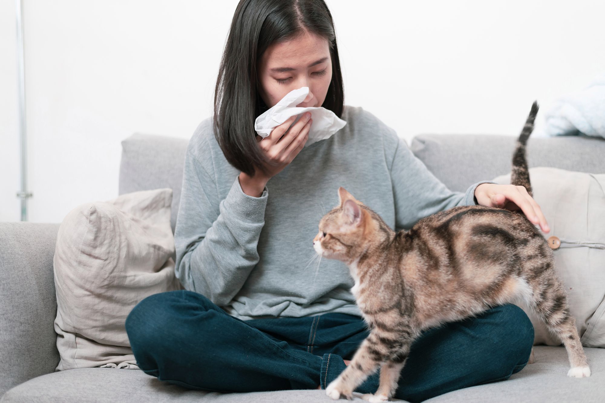 allergy, pets, Girl Friday Berks housekeeping cleaning services